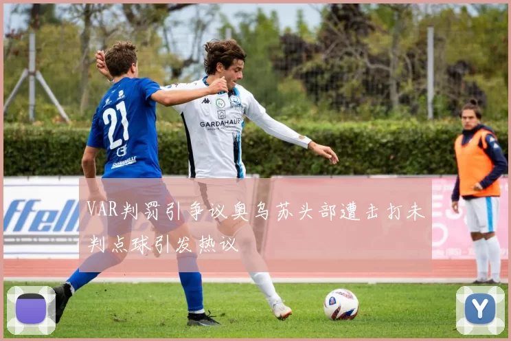 VAR判罚引争议奥乌苏头部遭击打未判点球引发热议